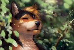 ambiguous_gender anthro black_nose day detailed_background outside solo goldendruid canid canine canis domestic_dog mammal 2021 digital_media_(artwork) headshot_portrait portrait