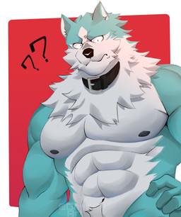 abs anthro biceps blue_body blue_fur bodily_fluids collar countershade_face countershade_torso countershading fur hand_on_leg hand_on_thigh looking_at_viewer male multicolored_body multicolored_fur muscular muscular_anthro muscular_arms muscular_male neck_tuft nipples nude pecs simple_background solo triceps tuft two_tone_body two_tone_fur white_body white_countershading white_fur white_inner_ear dnsharf brand_new_animal studio_trigger shirou_ogami canid canine canis mammal wolf absurd_res digital_media_(artwork) hi_res