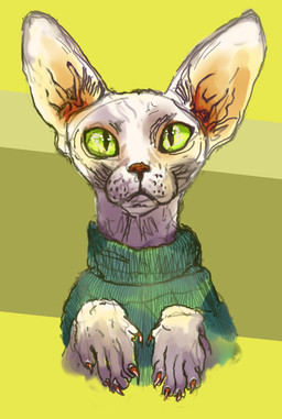abstract_background ambiguous_gender clothed clothed_feral clothing feral green_clothing green_sclera green_sweater green_topwear hairless solo sweater topwear naircat domestic_cat felid feline felis hairless_cat mammal sphynx_(cat) 2015 bust_portrait digital_drawing_(artwork) digital_media_(artwork) portrait