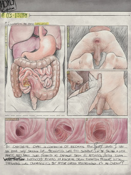 3_fingers 5_fingers abdominal_bulge action_pose anal anal_penetration anatomically_correct anatomically_correct_anus anatomically_correct_genitalia anatomically_correct_penis animal_genitalia animal_penis anthro anus aroused balls belly belly_inflation bestiality big_penis biped bipedal_feral bodily_fluids body_horror border brown_penis brown_tail close-up clothing colonoscopy comic_panel diagram duo erection feet feral feral_on_top feral_penetrating feral_penetrating_human feral_penetrating_male fingers front_view gaping gaping_anus genital_fluids genitals gloves grey_hands group guts hair hand_on_leg hand_on_thigh handwear heart_(organ) high-angle_view human_on_feral human_penetrated humanoid_genitalia humanoid_penis inflation inside internal internal_anal internal_organs interspecies intestines liver logo long_penis long_tail looking_at_another lung lying male male/male male_anthro male_feral male_human male_on_feral male_penetrated male_penetrating male_penetrating_male medical_examination medical_gloves monotone_body monotone_genitals monotone_hands monotone_penis monotone_skin monotone_tail multicolored_penis nubbed_penis nude on_top organ_transformation organs oviduct panel_interaction penetration penile penis pink_penis pose precum purple_penis rear_view ribbed_penis ridged_penis scales scaly_tail sex simple_background small_intestines speculum spread_anus spreading standing stomach tail tan_body tan_skin text textured_background thick_thighs thigh_gap three-quarter_view tongue tongue_out transformation trio two_tone_penis hdyly dinosaur dromaeosaurid human mammal prehistoric_species reptile saurischian scalie theropod velociraptor 2025 3:4 absurd_res artist_logo artist_name character_request colored_sketch comic digital_drawing_(artwork) digital_media_(artwork) english_text hi_res multiple_images shaded signature sketch male_(lore)