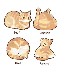 ambiguous_gender eyes_closed feral fur loaf lying multiple_poses on_front pink_nose pose simple_background sleeping solo tail text whiskers white_background yellow_body yellow_eyes yellow_fur gentleeeeeeecat domestic_cat felid feline felis mammal colored digital_drawing_(artwork) digital_media_(artwork) english_text hi_res shaded