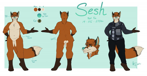 anthro clothed clothing featureless_crotch fur hair male nude off/on slightly_chubby smile solo standing tail text redpixie sesh canid canine fox mammal english_text model_sheet