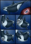 almost_fully_inside ambiguous_feral ambiguous_gender ambiguous_prey belly big_belly black_body black_border blowhole body_in_pussy border dorsal_fin duo female female/ambiguous female_feral female_pred feral feral_pred feral_prey fin flukes fully_inside genitals grey_body internal larger_female larger_pred mammary_slits motion_lines multicolored_body pectoral_fin pussy size_difference smaller_ambiguous two_tone_body unbirthing underwater vaginal vore water white_body year dolorcin cetacean dolphin mammal marine oceanic_dolphin orca toothed_whale 2025 comic hi_res