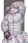 5_fingers abs anthro biceps clothing eyewear facial_hair fingerless_gloves fingers fur glasses gloves hair handwear male muscular muscular_anthro muscular_male pecs scar solo sadonghao canid canine canis mammal wolf 2019 digital_media_(artwork) hi_res