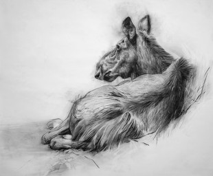 black_body female feral looking_away lying on_side simple_background solo white_background geordie_millar deer mammal moose new_world_deer 2006 charcoal_(artwork) formal_art monochrome traditional_media_(artwork)