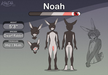 anthro balls biped butt feet fingers front_view fur genitals hair male navel nude nude_anthro nude_male penis rear_view smile solo standing tail toes kittydee lagomorph leporid mammal rabbit 2025 digital_drawing_(artwork) digital_media_(artwork) model_sheet