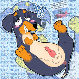 abstract_background animal_genitalia animal_penis anus balls black_body black_fur black_nose blue_background blue_outline blush blush_stickers bodily_fluids brown_body brown_fur canine_genitalia canine_penis claws dotted_background drooling ears_down erection exclamation_point eyebrows feral fur genital_fluids genitals gradient_fur grin grinning_at_viewer half-closed_eyes halftone_background heart_eyes heart_symbol interrobang knot looking_at_viewer looking_pleasured lying male multicolored_body multicolored_fur narrowed_eyes nervous nervous_smile nervous_sweat outline pattern_background pawpads penile penis pivoted_ears question_mark raised_eyebrows saliva simple_background smile smiling_at_viewer snout solo spiral spiral_eyes spread_legs spreading star sweat sweatdrop tail tears teeth text toony white_outline zoom_layer zoskylicious dog_of_wisdom_(meme) ukinojoe_(copyright) youtube pepper_(ukinojoe) canid canine canis dachshund domestic_dog hunting_dog mammal 1:1 absurd_res digital_media_(artwork) english_text halftone hi_res reference_image watermark