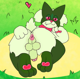 anal anthro anus balls butt day fangs feet fluffy fur genitals grass hand_on_butt heart_symbol inviting looking_at_viewer lying lying_on_ground male mask nude nude_male on_ground outside pawpads paws penis plant presenting resting short_tail smug solo tail teeth miauyeah nintendo pokemon felid feline generation_9_pokemon mammal meowscarada pokemon_(species) hi_res
