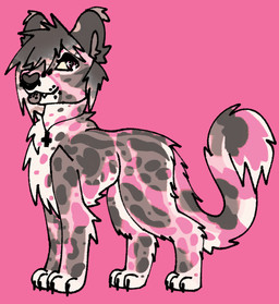 ambiguous_gender christian_cross christian_symbol claws coontail_hair countershade_fur countershading cross facial_piercing feral feral_with_hair fur glistening glistening_eyes gradient_hair hair jewelry necklace nose_piercing paws piercing religion religious_symbol solo sparklefur spots striped_body striped_fur stripes jackrabbit_(artist) christianity cheetah felid feline king_cheetah mammal 2025 digital_media_(artwork) hi_res ibispaint_(artwork)