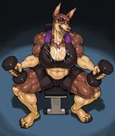 anthro big_breasts bodily_fluids bottomwear bra breasts clothing cum cum_on_breasts cum_on_face exercise female genital_fluids huge_breasts shorts solo sports_bra underwear weightlifting weights workout ser_halo tracy_porter canid canine canis dobermann domestic_dog mammal pinscher hi_res