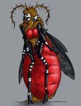 anthro arthropod_abdomen bloated female insect_wings multi_arm multi_limb shy solo wings half-dude misty_(half-dude) arthropod fly_(animal) insect mosquito model hi_res