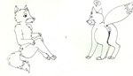 all_fours anus biped biped_to_quadruped butt female feral flat_chested fur genitals heart_symbol human_to_feral nude presenting presenting_hindquarters pussy quadruped semi-anthro shrinking sitting size_transformation smile snout solo species_transformation speech_bubble transformation axelferdinan canid canine fox mammal 2014 black_and_white line_art monochrome traditional_media_(artwork) unavailable_at_source