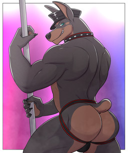 anthro big_butt black_body black_fur bulge butt clothed clothing collar dancing fur grin hat headgear headwear jockstrap jockstrap_only looking_at_viewer looking_back looking_back_at_viewer male male_stripper muscular muscular_anthro muscular_male pole pole_dancing rear_view short_tail smile solo stripper stripper_pole tail topless underbelly underwear underwear_only ben300 duke_doberman canid canine canis dobermann domestic_dog mammal pinscher 5:6 hi_res