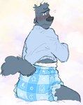 anthro blue_body blue_clothing blue_diaper blue_fur blue_sweater blue_topwear blush clean_diaper clothed clothing diaper embarrassed fur male pattern_diaper rear_view simple_background sitting solo sweater tail topwear wearing_diaper slusheep kermit_(slusheep) canid canine canis domestic_dog mammal poodle hi_res