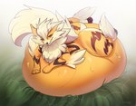 belly big_belly feral fur grass huge_belly orange_body orange_eyes orange_fur paws plant solo stripes vore white_body white_fur cmitchell nintendo pokemon arcanine canid canine generation_1_pokemon mammal pokemon_(species) hi_res