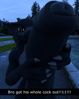 anthro balls big_balls big_penis dialogue duo first_person_view genitals huge_penis humanoid_genitalia humanoid_penis hyper hyper_genitalia hyper_penis looking_at_viewer male male/male night penile penis photo_background public realistic solo text vikvillince capcom monster_hunter villince flying_wyvern nargacuga 3d_(artwork) 4:5 absurd_res digital_media_(artwork) english_text hi_res photography_(artwork)