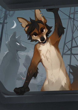 ambiguous_gender anthro biped countershade_torso countershading fingers front_view fur group hair looking_at_viewer male moon night nude nude_ambiguous nude_anthro nude_male scar sky standing star tain teeth reysi canid canine mammal 2026 digital_drawing_(artwork) digital_media_(artwork)