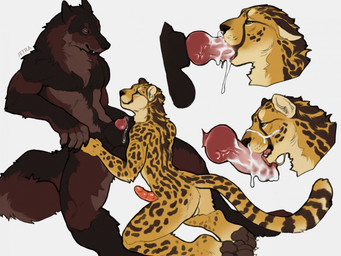 animal_genitalia animal_penis anthro anthro_on_anthro anthro_penetrated anthro_penetrating anthro_penetrating_anthro backsack balls becoming_erect black_body black_fur bodily_fluids brown_body brown_fur canine_genitalia canine_penis cum cum_drip cum_in_mouth cum_inside cum_on_face cum_on_penis cumshot dripping duo ejaculation featureless_chest feline_genitalia feline_penis fellatio fur genital_fluids genitals kneeling kneeling_oral_position knot knotted_penis licking male male/male male_penetrated male_penetrating male_penetrating_male markings multicolored_body multicolored_fur nude_anthro nude_male open_mouth oral oral_penetration pawpads paws penetration penile penile_penetration penis penis_in_mouth penis_lick penis_tip precum precum_drip red_body red_fur sex sheath simple_background sitting slim_anthro slim_male small_waist spots spotted_body spotted_fur tail text tongue tongue_out white_background yellow_body yellow_fur jetraraven valeris_(ych8) canid canine canis cheetah felid feline mammal wolf artist_name hi_res
