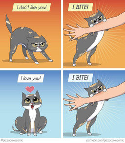 3_toes 5_fingers ambiguous_gender angry bite feet feral fingers fur green_eyes grey_body grey_fur happy heart_symbol leg_markings markings multicolored_body multicolored_fur offscreen_character open_mouth pink_nose red_tongue sharp_teeth sitting socks_(marking) solo tail teeth text toes tongue whiskers pizzacakecomic domestic_cat felid feline felis human mammal comic english_text shaded url
