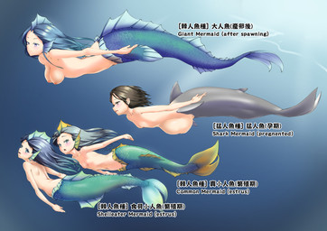 bangs black_eyes black_hair breasts cleavage clothed clothing collarbone female fin fish_tail genitals gradient_hair green_eyes group hair hair_between_eyes head_fin loli long_hair mixed-language_commentary mixed-language_text monster_girl_(genre) multicolored_hair navel nipples nude pregnant sea shark_fin shark_tail short_hair sidelocks simple_background split_form swimming text underwater vulva water young c.t_(yoyo860222) animal_humanoid aquatic aquatic_humanoid fish fish_humanoid humanoid merfolk shark_humanoid absurd_res digital_media_(artwork) english_text hi_res shaded