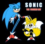 anthro band_merch blue_body clothed clothing duo gun half-closed_eyes male narrowed_eyes pointing_gun pointing_gun_at_viewer ranged_weapon shirt simple_background size_difference text topwear transparent_background weapon yellow_body rexon02 nine_inch_nails sega sonic_the_hedgehog_(series) miles_prower sonic_the_hedgehog canid canine eulipotyphlan fox hedgehog mammal alpha_channel english_text hi_res