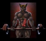 abs animal_genitalia animal_penis anthro balls biceps black_body black_fur bodily_fluids brown_hair ear_piercing erection exercise fur genital_fluids genitals hair knot male muscular muscular_anthro muscular_male nipple_piercing nipples nude pecs penis piercing solo sweat weightlifting weights workout ishiga-san yamatoiouko yamato_iouko canid canine canis mammal wolf