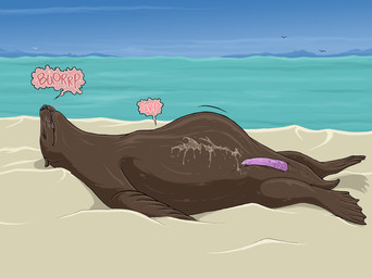 abdominal_bulge anus beach belly big_belly bodily_fluids brown_body brown_fur burping cum cum_on_self erection eyes_closed feral feral_pred fully_inside fur genital_fluids genitals lying male male_feral male_pred on_back penis sand sea short_tail solo tail vore water whiskers strega ambient_bird mammal marine pinniped sea_lion hi_res