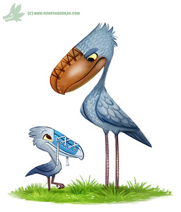 3_toes ambiguous_gender avian_feet beak biped black_eyes blue_beak brown_beak brown_eyes clothing duo eye_contact eyebrows feather_tuft feathered_wings feathers featureless_crotch feet feral folded_wings footwear frown grass grey_body grey_feathers grey_tail grey_wings head_tuft humor light looking_at_another looking_down looking_up multicolored_beak on_one_leg plant pun shadow shoelaces shoes side_view simple_background size_difference smile standing tail tail_feathers text thick_eyebrows toes toony tuft two_tone_beak visual_pun white_background white_beak winged_arms wings yellow_sclera young young_feral piper_thibodeau animate_inanimate avian bird pelecaniform shoebill 2016 digital_media_(artwork) digital_painting_(artwork) full-length_portrait lighting painting_(artwork) portrait url watermark