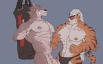 abs anthro areola biceps black_clothing black_thong black_underwear braided_hair braided_ponytail bruised bruised_belly chest_scar clenched_teeth clothed clothing duo eye_patch eyes_closed eyewear forearm_muscles fur genitals grey_body grey_fur grin hair hands_tied_behind_back long_hair male male/male multicolored_body multicolored_fur nipples nude orange_body orange_fur pecs penis ponytail punching_bag scar smile striped_body striped_fur stripes teeth thong thong_only topless underwear underwear_only vein veiny_muscles veiny_penis white_body white_fur white_hair eruprior lin_(anil_nilnil) canid canine canis felid mammal pantherine tiger wolf 16:10 2023 absurd_res hi_res widescreen