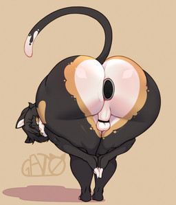 anthro backsack ball_ring balls big_butt butt butt_focus butt_heart femboy genitals glistening glistening_butt hands_together huge_butt knee_pit looking_at_viewer looking_back male perineum plug_(sex_toy) plug_insertion raised_tail sex_toy simple_background small_balls smug solo standing tail thick_thighs wide_hips gat0bodegero praise_da_booty_(meme) domestic_cat felid feline felis mammal absurd_res hi_res