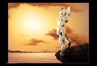 anthro biped black_body black_border black_fur border breasts claws cloud dipstick_tail eyes_closed featureless_breasts female fur hair hands_behind_head markings mountain nude outside smile solo sun sunset tail tail_markings toe_claws water white_body white_fur jocarra canid canine mammal