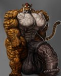 abs animal_genitalia animal_penis anthro balls big_balls big_muscles big_pecs big_penis equine_genitalia equine_penis fur genitals huge_balls huge_muscles huge_pecs huge_penis hyper hyper_balls hyper_genitalia hyper_muscles hyper_pecs hyper_penis male muscular muscular_anthro muscular_male orange_body orange_fur pecs penis solo striped_body striped_fur stripes vein veiny_muscles veiny_penis hohohonse alex_(furryartcollector) felid mammal pantherine tiger hi_res