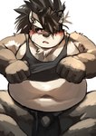 anthro belly blush bulge clothed clothing clothing_lift fur grey_body grey_fur looking_away male navel overweight shirt shirt_lift solo topwear underwear sicily440 lifewonders tokyo_afterschool_summoners shino_(tas) canid canine canis domestic_dog mammal absurd_res hi_res