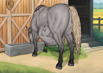 after_vore barn belly big_belly black_legs blue_eyes butt drinking duo fence feral feral_pred grass grey_body grey_butt grey_ears hair horse_tail human_prey male male_pred mountain plant rumbling_stomach stable stairs tail vore white_hair white_tail dragonczech equid equine horse human mammal 2025 hi_res