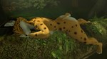 anthro female nude outside piercing sleeping smile solo tail tropical joker0 nintendo star_fox miyu_(star_fox) felid feline mammal hi_res