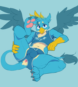 3_toes 4_fingers anthro anus blue_background blue_body blue_eyes blue_fur blush bulge clothing crop_top detailed_bulge feathered_wings feathers feet fingers fur furgonomic_underwear furgonomics looking_at_viewer lying male midriff navel on_back pawpads paws pink_pawpads presenting raised_leg shirt simple_background solo spread_wings tail tail_anus tail_tuft toes topwear tuft underwear wings jazzynsfw friendship_is_magic hasbro my_little_pony mythology gallus_(mlp) avian gryphon mythological_avian mythological_creature 2025 hi_res