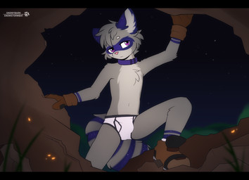 anthro black_bars boots briefs chest_tuft clothed clothing collar facial_markings footwear fur gloves grass grey_body grey_fur handwear head_markings kemono male markings mask_(marking) navel night orange_nose plant purple_collar purple_eyes shoes solo topless tuft underwear wearing_collar white_briefs white_clothing white_underwear snowybark pando_raccoon mammal procyonid raccoon hi_res letterbox