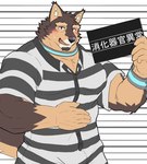 anthro blush bracelet brown_body brown_fur clothing collar eyebrows fur jewelry male mugshot muscular muscular_anthro muscular_male pattern_clothing pecs prison prison_uniform prisoner solo striped_clothing stripes thick_eyebrows nikukyu299paw lifewonders live_a_hero pubraseer canid canine canis domestic_dog mammal