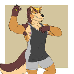 anthro armpit_hair balls_outline barazoku biped bodily_fluids body_hair brown_body brown_fur bulge clothing detailed_bulge ear_piercing erection erection_under_clothing eyebrow_piercing facial_hair facial_piercing fangs fur genital_outline male male_anthro markings muscular muscular_anthro muscular_male nipples orange_body orange_fur pecs penis_outline piercing presenting ring smile solo sweat sweatdrop teeth wrestling_singlet yellow_body yellow_fur zordykeaboo home_zomewhere_else fred_kent canid canine canis domestic_dog german_shepherd herding_dog mammal pastoral_dog 1:1 hi_res