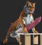 3d animal_genitalia balls big_balls big_penis cgi erection feline feral fur grey_background huge_penis hyper looking_at_viewer male mammal orange_fur penis plain_background pose solo table tapiko tiger white_fur wood
Rating: Explicit
Score: -1
User: DSTakumiDerp
Date: March 03, 2014