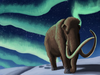 aurora_(phenomenon) brown_body brown_fur feral fur night proboscis_(anatomy) quadruped snow solo star trunk_(anatomy) tusks walking agustindiazart elephantid mammal mammoth prehistoric_species proboscidean woolly_mammoth 2021 4:3 hi_res painting_(artwork)