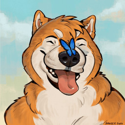 animated_gif anthr asiab blue_butterfly happy_dog male akaizer akita akita_inu arthropod butterfly canid canine canis domestic_dog insect lepidopteran mammal spitz 1:1 animated bust_portrait icon portrait short_playtime