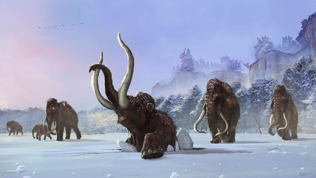 brown_body brown_fur falling feral fur group herd ice imminent_death nature outside proboscis_(anatomy) quadruped snow trunk_(anatomy) tusks anthon500 ambient_bird elephantid mammal mammoth prehistoric_species proboscidean woolly_mammoth 16:9 widescreen