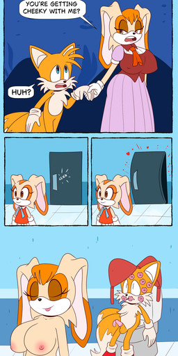 accident age_difference anthro bra clothing condom duo female filled_condom male male/female mature_female misunderstanding older_female sexual_barrier_device tail tail_motion tail_slap text toilet underwear young younger_male 4chan_anon unknown_artist sega sonic_the_hedgehog_(series) cream_the_rabbit miles_prower vanilla_the_rabbit canid canine fox lagomorph leporid mammal rabbit red_fox true_fox absurd_res comic english_text hi_res mother_(lore) parent_(lore)
