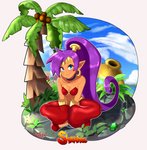 blue_eyes breasts building clothing cloud day ear_piercing ear_ring female footwear hair humanoid_pointy_ears long_hair not_furry palm_tree piercing plant pointy_ears ponytail purple_hair ring_piercing sitting smile solo tree sarukaiwolf shantae_(series) wayforward shantae genie humanoid 2020 absurd_res hi_res signature