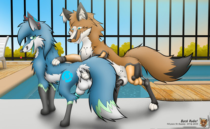 animal_genitalia animal_penis balls big_tail canine_genitalia canine_penis cybernetics digitalfox duo erection feral genitals knot knotted_penis machine male penis penis_tip pool sheath tail text srfx18 tobur_(gaussly) zatch_(sirfox) canid canine fox mammal english_text hi_res