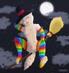 anthro balls broom broom_riding cleaning_tool clothing feet footwear fur genitals gloves handwear hat headgear headwear holidays legwear looking_at_viewer male moon multicolored_clothing multicolored_legwear nude pawpads paws rainbow_clothing rainbow_legwear smile socks solo thigh_highs wizard_hat lubanart halloween digital_media_(artwork) hi_res