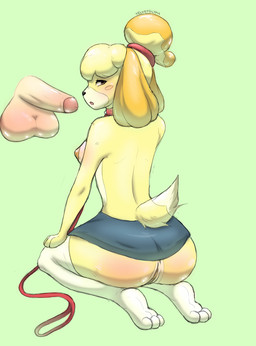 anthro blush bottomwear breasts brown_eyes clothed clothing collar disembodied_penis duo female female_anthro fur genitals glistening glistening_genitalia hair humanoid_genitalia humanoid_penis knee_highs kneeling leash legwear looking_at_viewer male male/female miniskirt no_underwear open_mouth paws penis simple_background skirt submissive submissive_anthro submissive_female tail tan_body tan_fur tied_hair vulva yellow_body yellow_fur velvet_glyph animal_crossing nintendo isabelle_(animal_crossing) canid canine canis domestic_dog human mammal hi_res