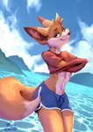 anthro blue_bottomwear blue_clothing blue_eyes blue_shorts bottomwear clothing fur hotpants looking_at_viewer male midriff orange_body orange_fur red_clothing red_shirt red_topwear shirt shorts solo tail topwear water polarissketches canid canine fennec_fox fox mammal true_fox hi_res