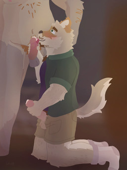 anthro bodily_fluids bottomwear clothing duo facial_hair fellatio footwear genital_fluids genitals leaking_precum male male/male oral penile penis precum pubes sex shirt shorts socks topwear wolpington canid canine mammal 3:4 hi_res